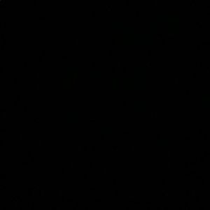 Meet your Posher, Sadie